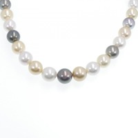 シルバークラスプ 白蝶パール ネックレス