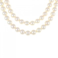 シルバークラスプ アコヤパール ネックレス 7-7.5mm