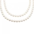 シルバークラスプ アコヤパール ネックレス 7.5-8mm