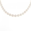 シルバークラスプ アコヤパール ネックレス 7.5-8mm