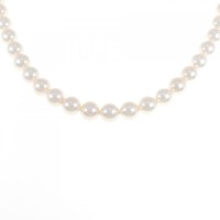 シルバークラスプ アコヤパール ネックレス 7.5-8mm