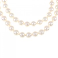 タサキ アコヤパール ネックレス 8.5-9mm