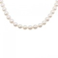 シルバークラスプ アコヤパール ネックレス 6.5-7.5mm