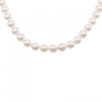 シルバークラスプ アコヤパール ネックレス 6.5-7.5mm