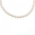 シルバークラスプ アコヤパール ネックレス 7.5-8mm