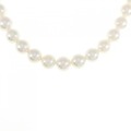 シルバークラスプ アコヤパール ネックレス 7.5-8mm