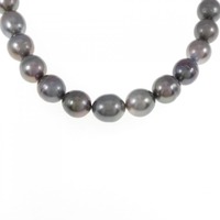 シルバークラスプ 黒蝶パール ネックレス 9-10mm