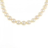 シルバークラスプ アコヤパール ネックレス 7-8mm