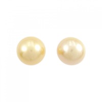 PT 白蝶パール ピアス 13mm