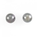PT 黒蝶パール ピアス 11.7mm