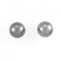 PT 黒蝶パール ピアス 11.7mm