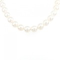 シルバークラスプ アコヤパール ネックレス 8-8.5mm