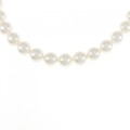 シルバークラスプ アコヤパール ネックレス 7-7.5mm