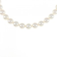 シルバークラスプ アコヤパール ネックレス 7-7.5mm