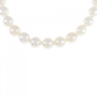 【新品】シルバークラスプ アコヤパール ネックレス 8.5-9mm