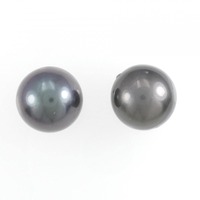 PT 黒蝶パール ピアス 13.6mm