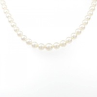 シルバークラスプ アコヤパール ネックレス 5-8mm