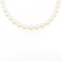 シルバークラスプ アコヤパール ネックレス 6-6.5mm