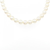 シルバークラスプ アコヤパール ネックレス 6-6.5mm