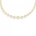 シルバークラスプ アコヤパール ネックレス 5.5-8.5mm
