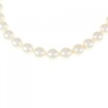シルバークラスプ アコヤパール ネックレス 7.5-8mm