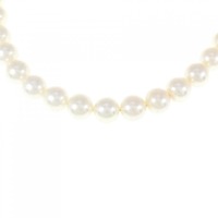 シルバークラスプ アコヤパール ネックレス 7.5-8mm