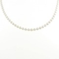 シルバークラスプ アコヤパール ネックレス 4.0-4.5mm