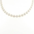 シルバークラスプ アコヤパール ネックレス 7.5-8.0mm