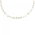 シルバークラスプ アコヤパール ネックレス 5-5.5mm