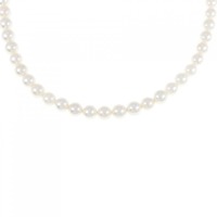 シルバークラスプ アコヤパール ネックレス 5-5.5mm