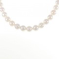 シルバークラスプ アコヤパール ネックレス 7.5-8mm