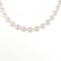 シルバークラスプ アコヤパール ネックレス 7.5-8mm