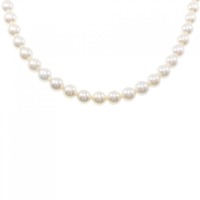 シルバークラスプ アコヤパール ネックレス 6.5-7mm