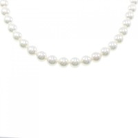 シルバークラスプ アコヤパール ネックレス 7.5-8mm