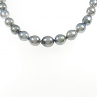 シルバークラスプ 黒蝶パール ネックレス 8.0-11.5mm