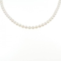 シルバークラスプ アコヤパール ネックレス 6.0-6.5mm