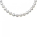シルバークラスプ アコヤパール ネックレス 8-8.5mm