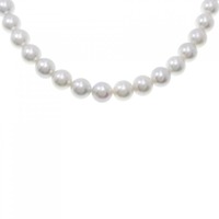 シルバークラスプ アコヤパール ネックレス 8-8.5mm