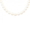 シルバークラスプ アコヤパール ネックレス 8-8.5mm