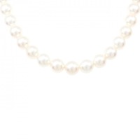 シルバークラスプ アコヤパール ネックレス 8-8.5mm