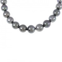 シルバークラスプ 黒蝶パール ネックレス 8.5-12mm