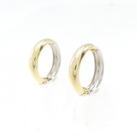 K18YG/PT イヤリング