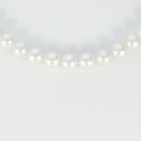 シルバークラスプ アコヤパールネックレス