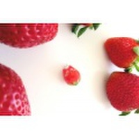 ChikoCraft ネックレス　いちご猫