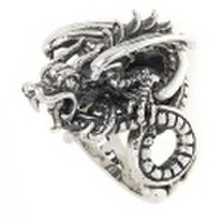 ROYAL ORDER(ロイヤルオーダー)WZ DRAGON RING BRIAN WILSON COLLECTIONリングSR606