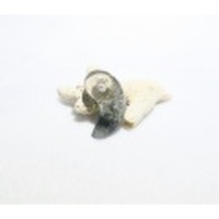 SSJ0015　【稀少】　ガネーシュヒマール産　ヒマラヤ水晶（クローライト）　勾玉