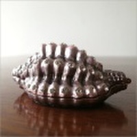 【セール】アクセサリーケース シェルBOX [hal37577]