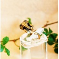 ☆甘えん坊アニマル☆ 『ゾウ』