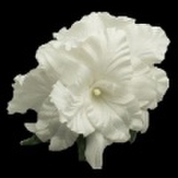 ハワイアンヘアクリップ ゴージャスオーキッドヘアクリップ XLサイズ ホワイト