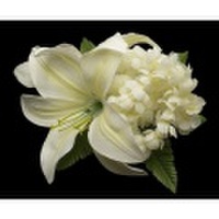 ハワイアンヘアクリップ リリー＆ピカケヘアクリップ